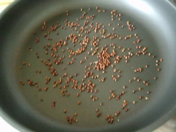 Wildlachs aus dem Paradies  in cremiger Kräutersosse - Rezept - Bild Nr. 3