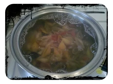 Nudeln: Conchiglie Colori mit pikanter Soße - Rezept - Bild Nr. 5