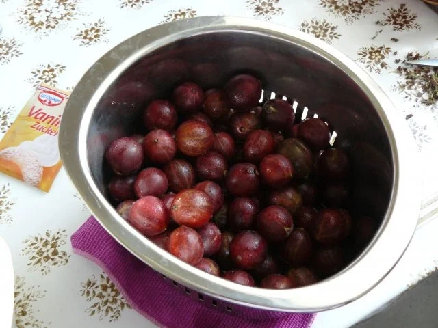 Stachelbeercreme - Rezept - Bild Nr. 3