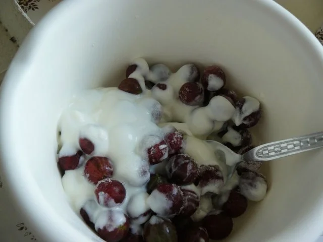 Stachelbeercreme - Rezept - Bild Nr. 4