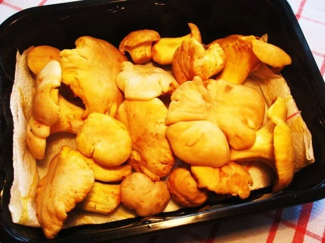 Rezept: Jägerschnitzel von der Pute ... Bild Nr. 2 Jägerschnitzel von der Pute ... - Rezept - Bild Nr. 2