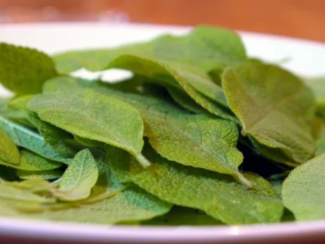 Salbei-Likör - Rezept - Bild Nr. 3