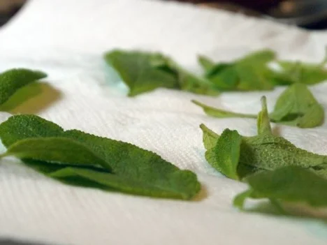 Salbei-Likör - Rezept - Bild Nr. 4