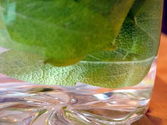 Salbei-Likör - Rezept - Bild Nr. 8