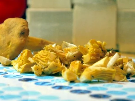 Rezept: Dim Sum mit Pfifferling-Hackfleisch-Füllung und Knobi-Dip Bild Nr. 5 Dim Sum mit Pfifferling-Hackfleisch-Füllung und Knobi-Dip - Rezept - Bild Nr. 5