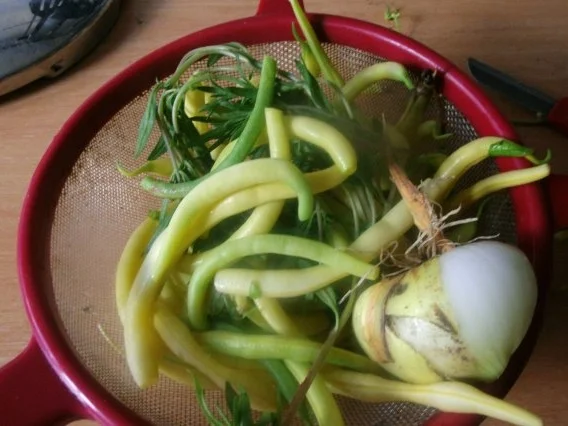 Schnippelbohnensalat - Rezept - Bild Nr. 2