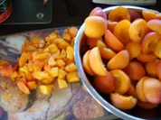 Konfitüre & Co:  Aprikose - Rezept