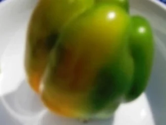 Weisskohlsalat 1.0 - Rezept - Bild Nr. 10