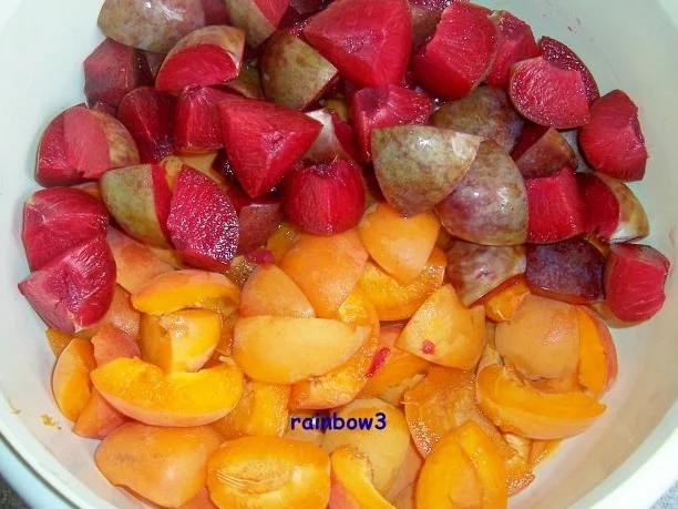 Einmachen:  Aprikosen-Pluot-Marmelade - Rezept - Bild Nr. 2
