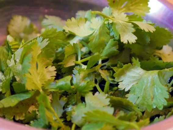 Lachs mit Koriander-Gremolata, Avocado-Kartoffel-Püree und Ofentomaten - Rezept - Bild Nr. 4