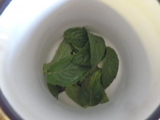 Minz - Panna Cotta ... - Rezept - Bild Nr. 7