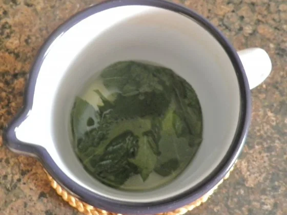 Minz - Panna Cotta ... - Rezept - Bild Nr. 8