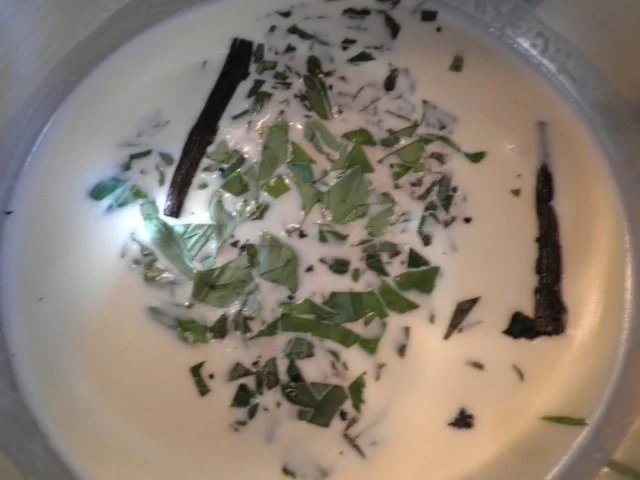 Minz - Panna Cotta ... - Rezept - Bild Nr. 10