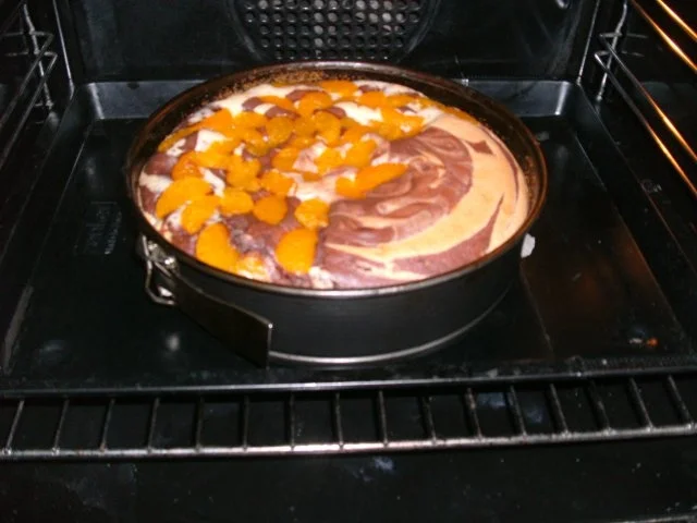 Rezept: Mandarinen-Zauberkuchen Bild Nr. 16 Mandarinen-Zauberkuchen - Rezept - Bild Nr. 16