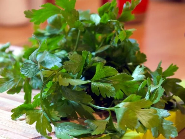 Gurken-Senf-Gemüse - Rezept - Bild Nr. 3