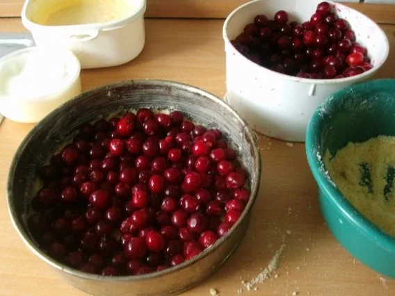 Rezept: Kirsch-Käse Streuselkuchen Bild Nr. 7 Kirsch-Käse Streuselkuchen - Rezept - Bild Nr. 7