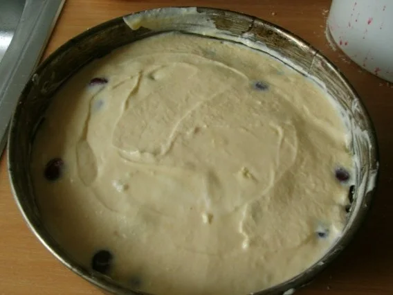 Rezept: Kirsch-Käse Streuselkuchen Bild Nr. 8 Kirsch-Käse Streuselkuchen - Rezept - Bild Nr. 8