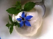 ZITRONEN - JOGUHRT - EISCREME - Rezept