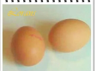 Rezept: Zuckererbsenschoten mit Salzkartoffeln und eckiges Spiegelei dazu. Bild Nr. 4 Zuckererbsenschoten mit Salzkartoffeln und eckiges Spiegelei dazu. - Rezept - Bild Nr. 4