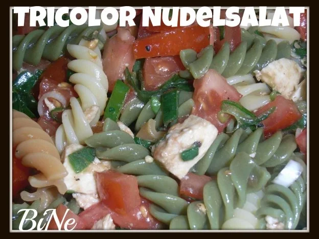 Rezept: BiNe` S TRICOLOR NUDELSALAT BiNe` S TRICOLOR NUDELSALAT - Rezept