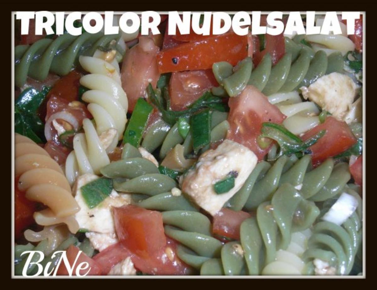 Bilder für BiNe` S TRICOLOR NUDELSALAT - Rezept