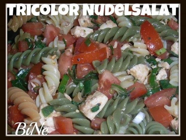 Rezept: BiNe` S TRICOLOR NUDELSALAT Bild Nr. 5 BiNe` S TRICOLOR NUDELSALAT - Rezept - Bild Nr. 5