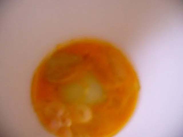 Mayonnaise - selbst herstellen - Rezept - Bild Nr. 4