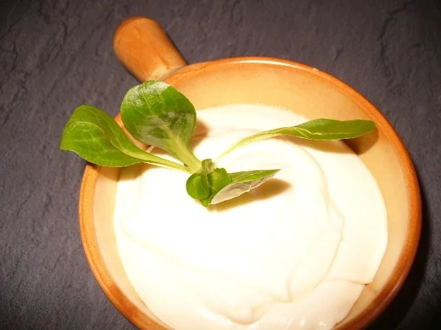 Mayonnaise - selbst herstellen - Rezept
