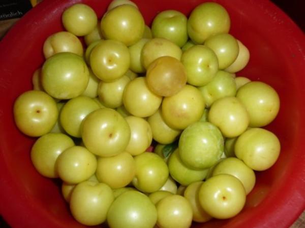 Mirabellen Marmelade - einfach - 64 kcal/100g