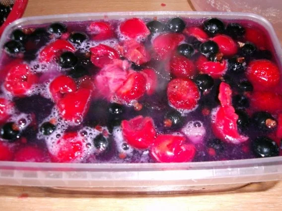 Rezept: Obstsülze - Früchtemix Bild Nr. 6 Obstsülze - Früchtemix - Rezept - Bild Nr. 6