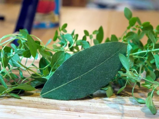 Kalbsragout mit selbstgemachten Spaghetti - Rezept - Bild Nr. 11