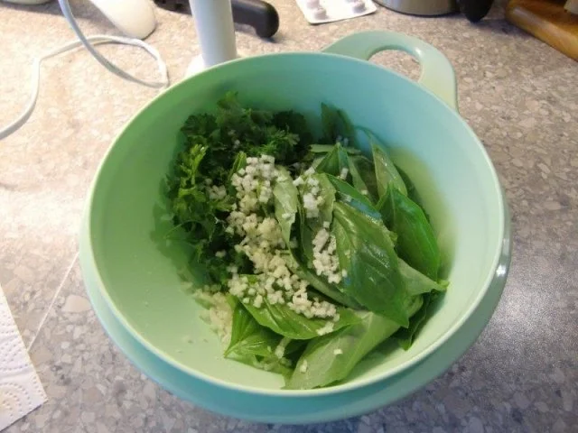 Rezept: Tagliatelle mit Pesto & geräucherten Lachs Bild Nr. 7 Tagliatelle mit Pesto & geräucherten Lachs - Rezept - Bild Nr. 7