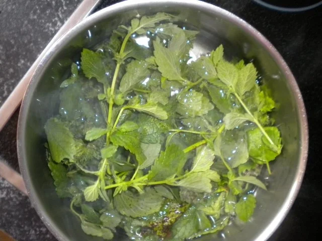 GRüNER EiSTEE - Rezept - Bild Nr. 2