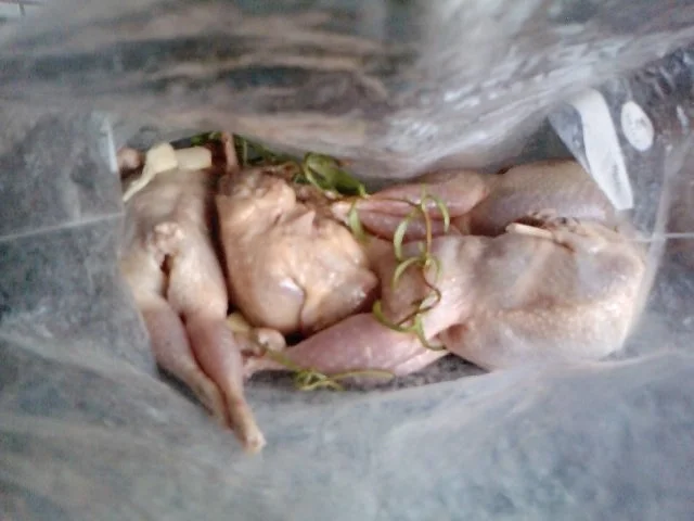 So klein und schon besoffen - Gegrillte Wachteln mit Dunkelbier gegrillt - Rezept - Bild Nr. 3