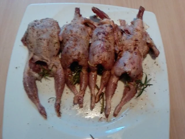 So klein und schon besoffen - Gegrillte Wachteln mit Dunkelbier gegrillt - Rezept - Bild Nr. 4