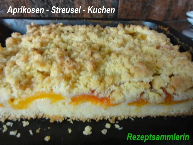 Rührteig:   APRIKOSEN- STREUSEL-KUCHEN - Rezept
