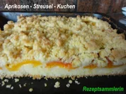 Rührteig:   APRIKOSEN- STREUSEL-KUCHEN - Rezept