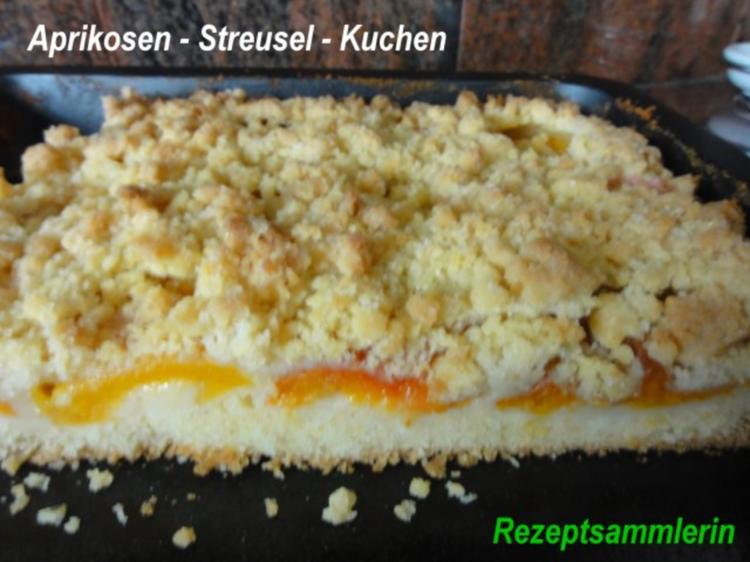 Rührteig: APRIKOSEN- STREUSEL KUCHEN - einfach - von Rezeptsammlerin
