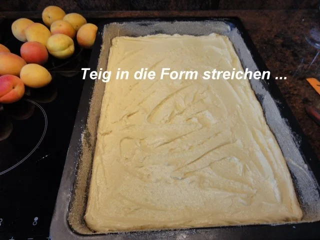 Rührteig:   APRIKOSEN- STREUSEL-KUCHEN - Rezept - Bild Nr. 3