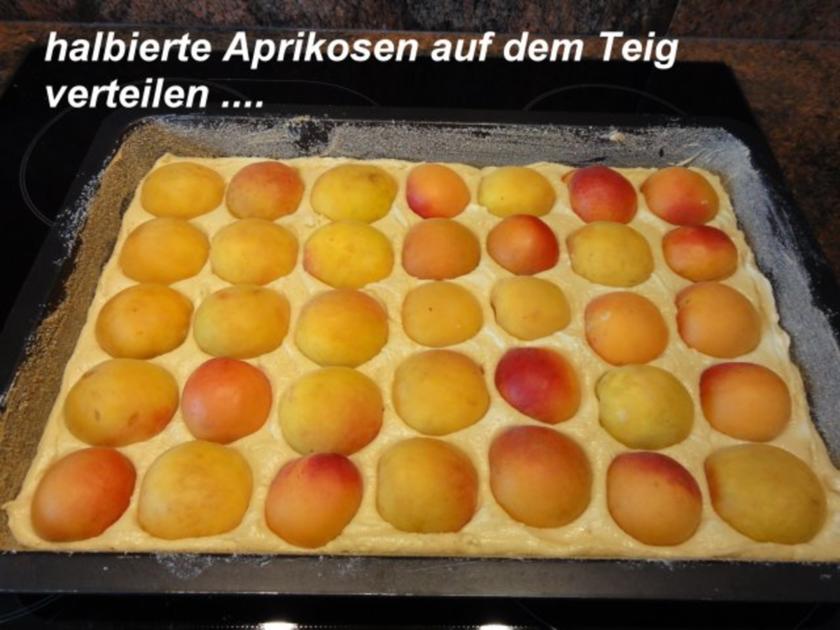 Rührteig: APRIKOSEN- STREUSEL KUCHEN - einfach - von Rezeptsammlerin