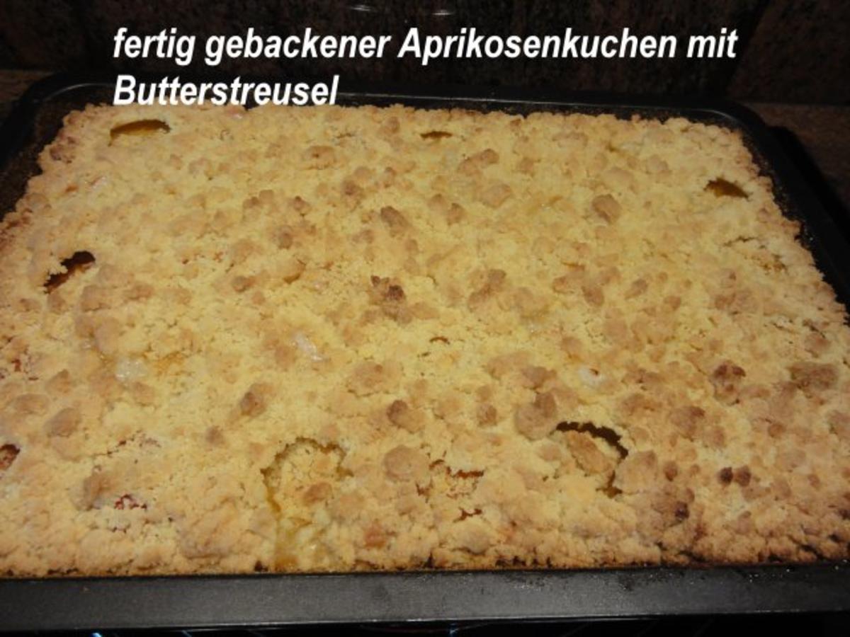 Rührteig: APRIKOSEN- STREUSEL-KUCHEN - Rezept - kochbar.de