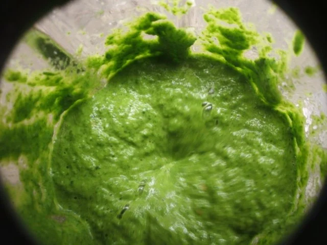 Rezept: Gewürzmischungen: Kräuterwürze Bild Nr. 5 Gewürzmischungen: Kräuterwürze - Rezept - Bild Nr. 5