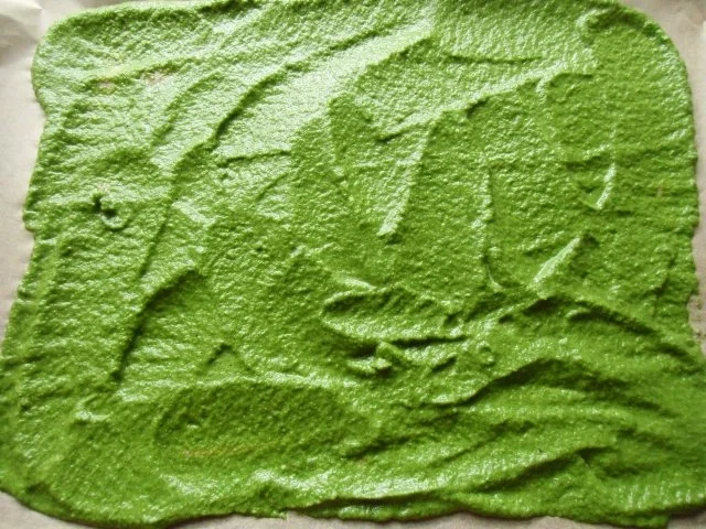 Rezept: Gewürzmischungen: Kräuterwürze Bild Nr. 10 Gewürzmischungen: Kräuterwürze - Rezept - Bild Nr. 10