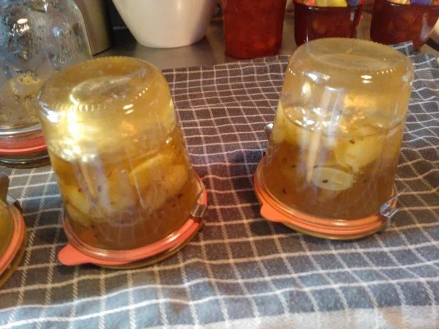 Trauben-Stachelbeer-Marmelade "der Sommer laesst gruessen"! - Rezept - Bild Nr. 7