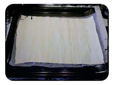 Rezept: Flammkuchen: Thunfisch-Flammkuchen für die WG Bild Nr. 5 Flammkuchen: Thunfisch-Flammkuchen für die WG - Rezept - Bild Nr. 5