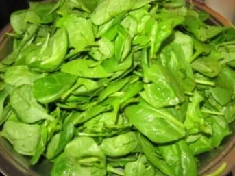 Sepia mit Blattspinat und Aioli à la Biggi - Rezept - Bild Nr. 17