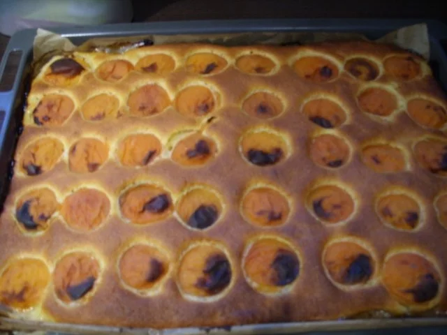 Rezept: Aprikosenkuchen Bild Nr. 2 Aprikosenkuchen - Rezept - Bild Nr. 2