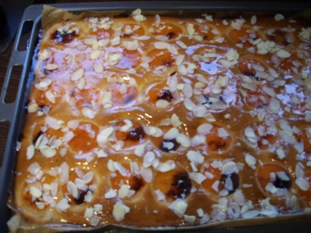 Rezept: Aprikosenkuchen Aprikosenkuchen - Rezept