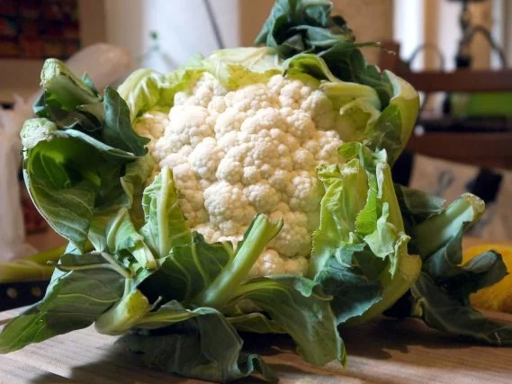 Blumenkohlsalat - Rezept - Bild Nr. 2