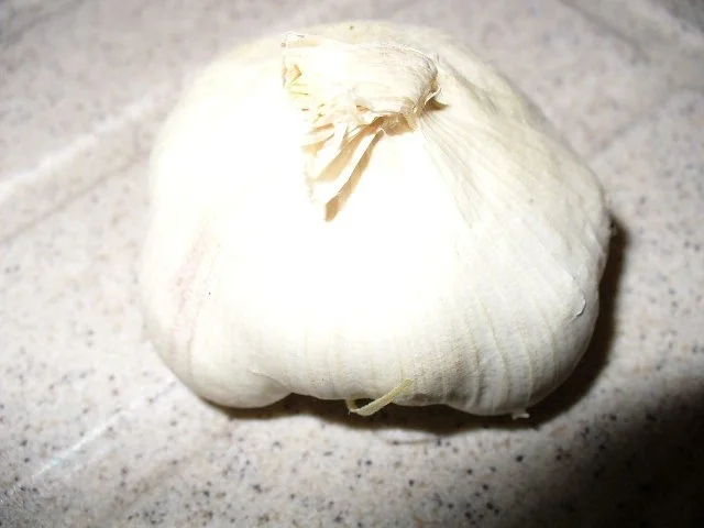 pikante Zucchini-Scheibletten - Rezept - Bild Nr. 4